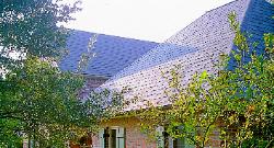40yr. Elk Grande' Antique Slate